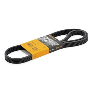 Ιμάντας Διπλής Όψεως Δυναμού Conti-Tech 6DPK1195 Made In Germany