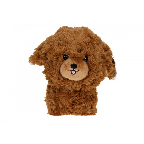 Teddy Pets Mascot Poodle Καφε